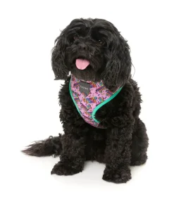 FuzzYard Fiesta - Harness