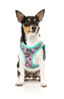 FuzzYard Fiesta - Step In Harness