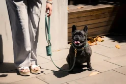 FuzzYard Life Atelier Dog Rope Lead - Myrtle Green