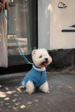 FuzzYard Life Atelier Dog Collar - French Blue