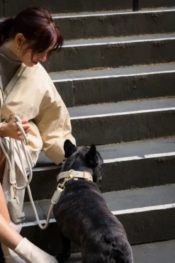 FuzzYard Life Atelier Dog Rope Lead - Sandstone