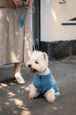 FuzzYard Life Atelier Dog Rope Lead - French Blue