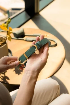 FuzzYard Life Atelier Dog Collar - Myrtle Green