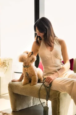 FuzzYard Life Atelier Dog Collar - Myrtle Green