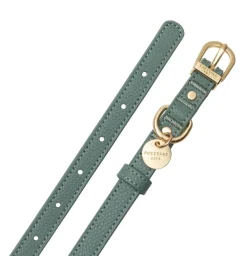 FuzzYard Life Atelier Dog Collar - Myrtle Green