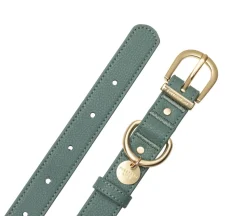 FuzzYard Life Atelier Dog Collar - Myrtle Green