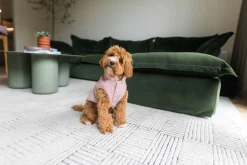 FuzzYard Life Corduroy Jacket - Soft Blush