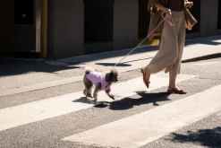 FuzzYard Life Corduroy Jacket - Lilac