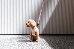 FuzzYard Life Harness - Soft Blush