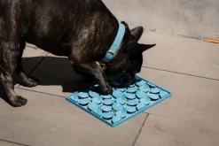 FuzzYard Life Hide & Treat Mat - French Blue