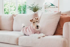 FuzzYard Life Knitted Sweater - Soft Blush