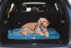 FuzzYard Life Lounge Mat - French Blue