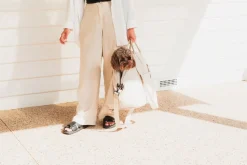 FuzzYard Life Multipurpose Carrier & Car Seat - Sandstone