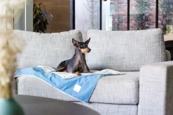 FuzzYard Life Pet Blanket - French Blue