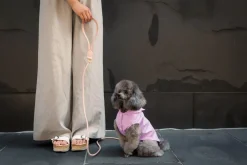 FuzzYard Life Raincoat - Lilac