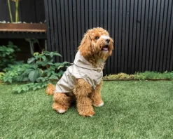 FuzzYard Life Raincoat - Sandstone