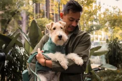 FuzzYard Life Ribbed Sweater - Myrtle Green