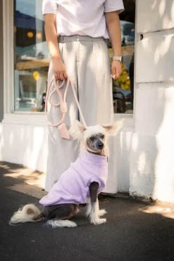 FuzzYard Life Ribbed Sweater - Lilac
