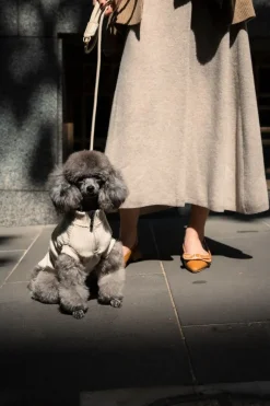 FuzzYard Life Ribbed Sweater - Sandstone