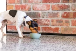 FuzzYard Life Silicone Bowl - Myrtle Green