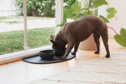 FuzzYard Life Silicone Feeding Mat - Slate Grey