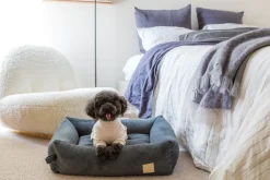 FuzzYard Life Soft Touch Pajamas - Sandstone