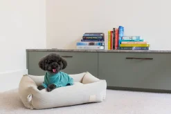 FuzzYard Life Soft Touch Pajamas - Myrtle Green