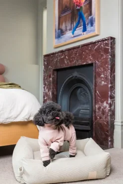 FuzzYard Life Soft Touch Pajamas - Soft Blush