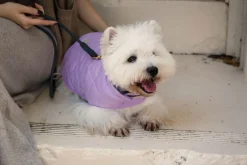 FuzzYard Life Wrap Vest - Lilac