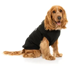 FuzzYard State Hoodie Black