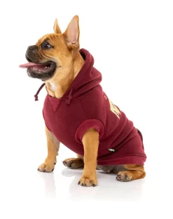 FuzzYard State Hoodie Maroon