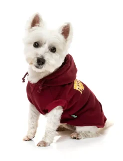 FuzzYard State Hoodie Maroon