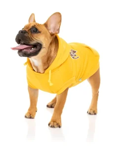 FuzzYard State Hoodie Yellow