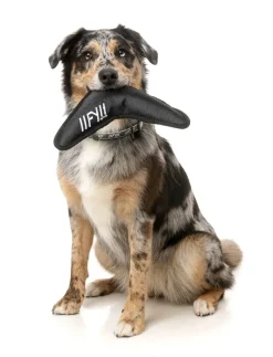 FuzzYard FY Active Flyer Dog Toy - Black