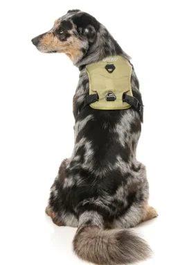 FuzzYard FY Active Go Harness - Khaki