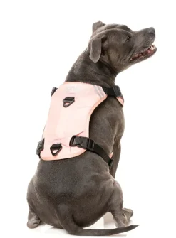 FuzzYard FY Active Go Harness - Peach