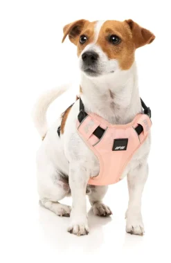 FuzzYard FY Active Go Harness - Peach