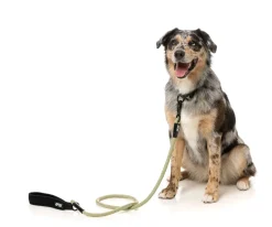 FuzzYard FY Active Rope Lead - Khaki