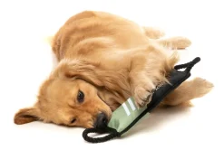 FuzzYard FY Active Rope Tug Dog Toy - Khaki