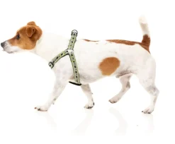 FuzzYard FY Active Strap Harness - Khaki