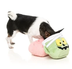 FuzzYard GAUZETIN POWERS - 2-IN-1 Dog Toy
