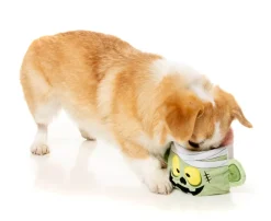 FuzzYard GAUZETIN POWERS - 2-IN-1 Dog Toy