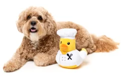FuzzYard Gordon Quacksay - Dog Toy