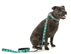 FuzzYard Gor-illz - Dog Lead