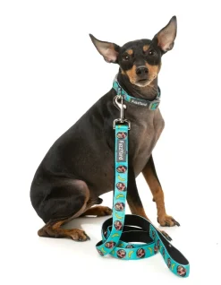 FuzzYard Gor-illz - Dog Lead