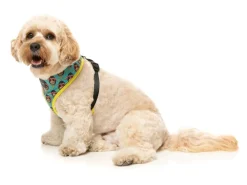 FuzzYard Gor-illz - Harness