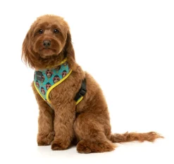 FuzzYard Gor-illz - Harness