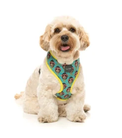 FuzzYard Gor-illz - Harness