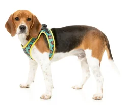 FuzzYard Gor-illz - Step In Harness