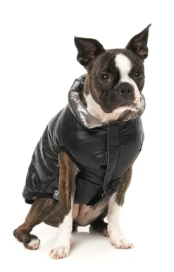 FuzzYard Hakuba Jacket - Black